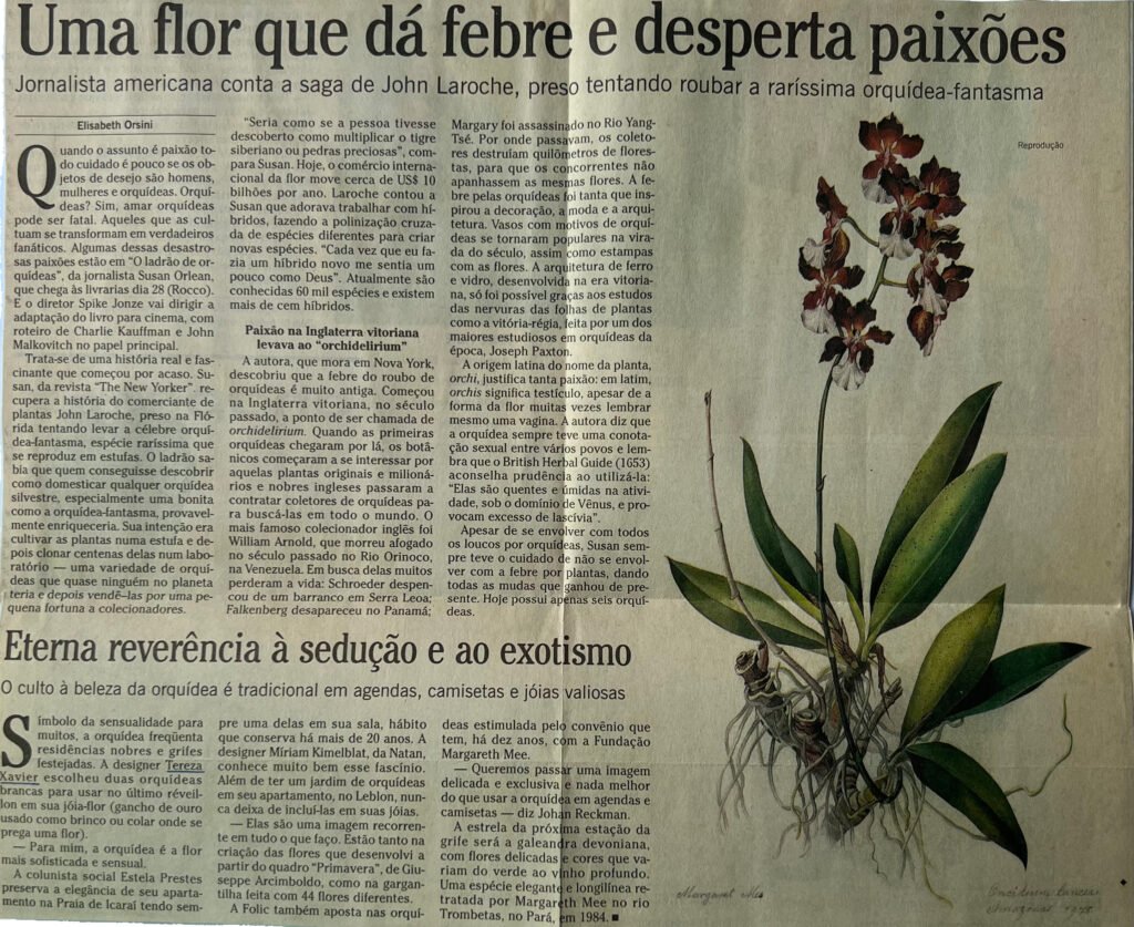 O Globo Caderno Ela Uma Flor que dá Febre e Desperta Paixões