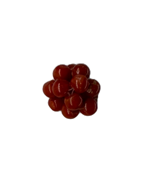 Flor Coral Vermelho