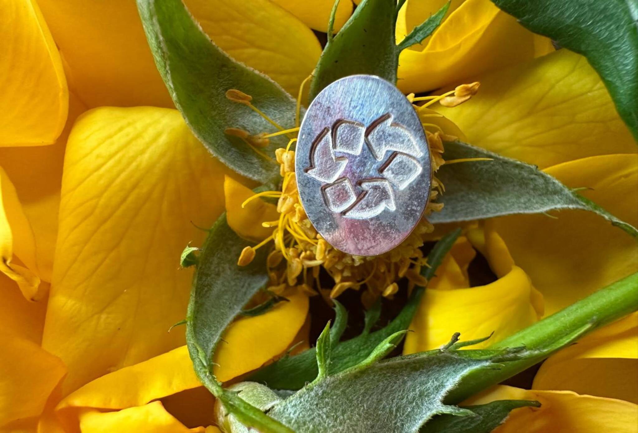 pingente sinete reencantar