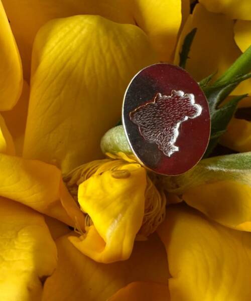 pingente mapa brasil